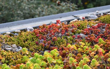 the cost of Feniton green roof installation