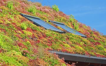 Feniton living roof systems