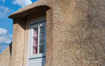 Feniton thatch roof disadvantages